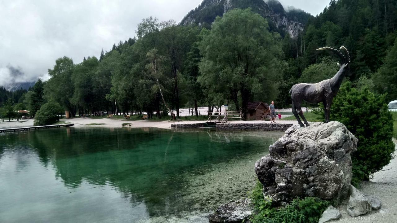 Apartments Teja Kranjska Gora Eksteriør billede